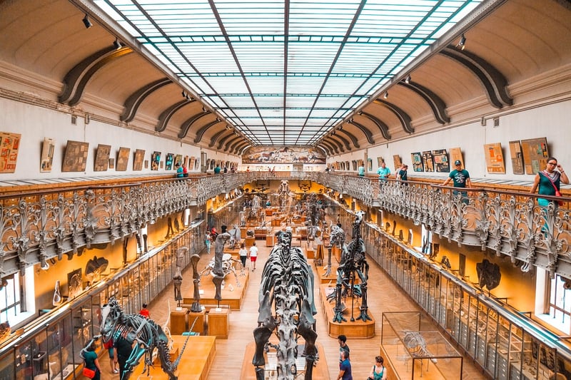 Prehistoric Eras
